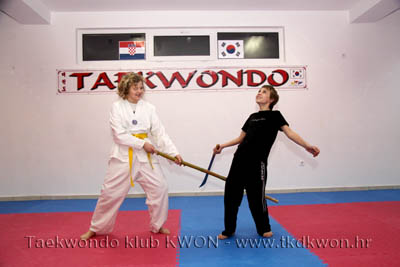 taekwondo kwon training